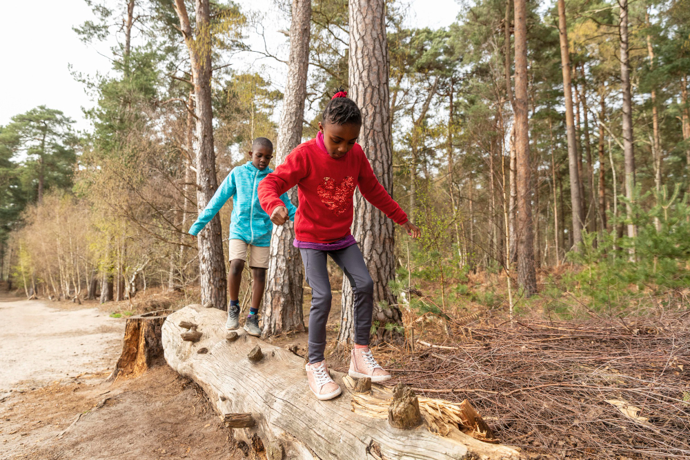 Benefits of Healthy Lifestyle Program Coaching